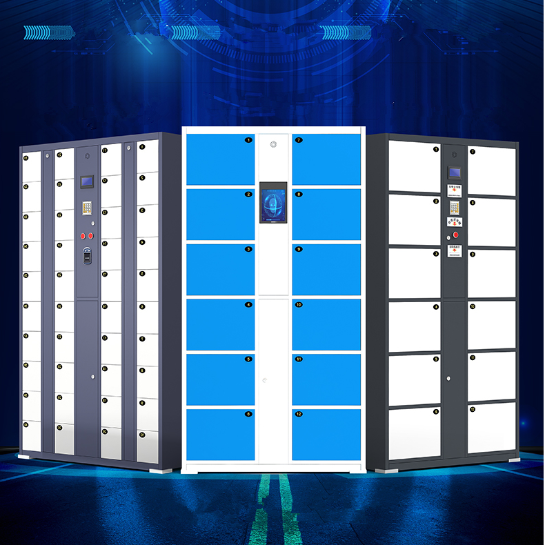 Face recognition electronic stroage locker