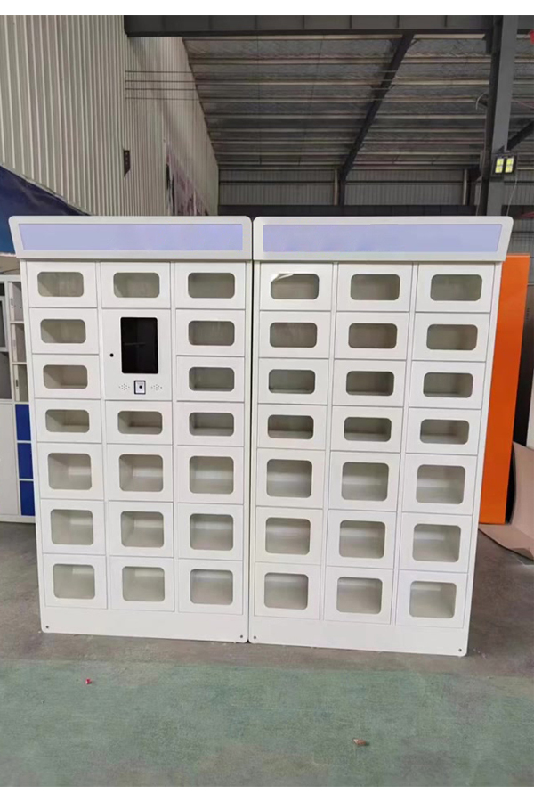 smart parcel locker