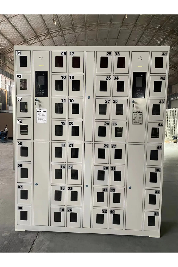 electronic smart locker