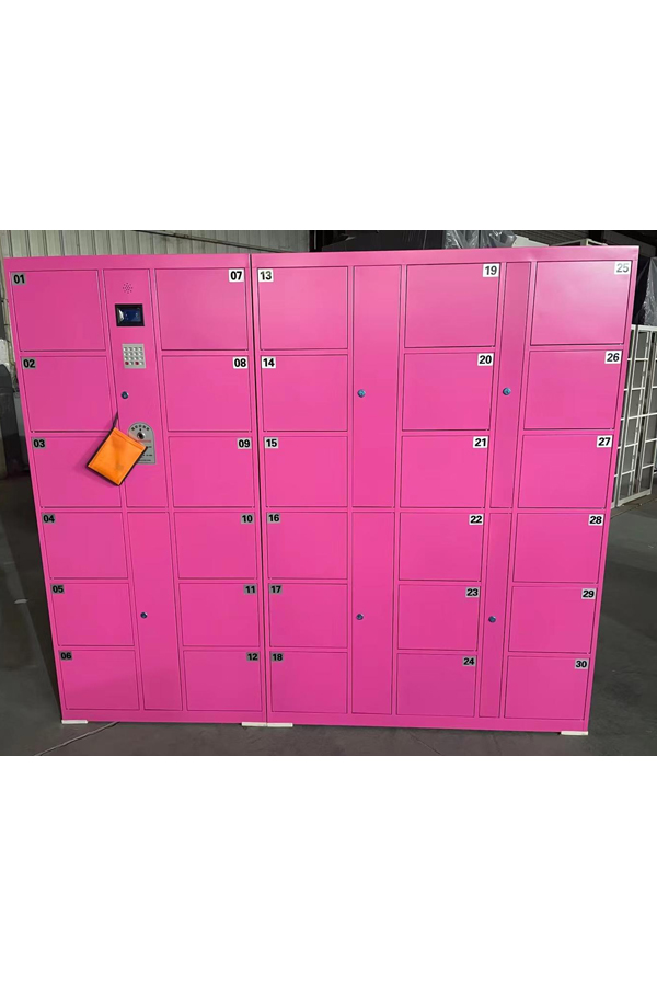 smart locker system