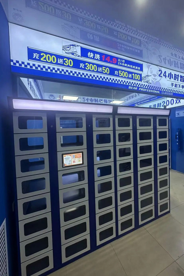 tz smart lockers