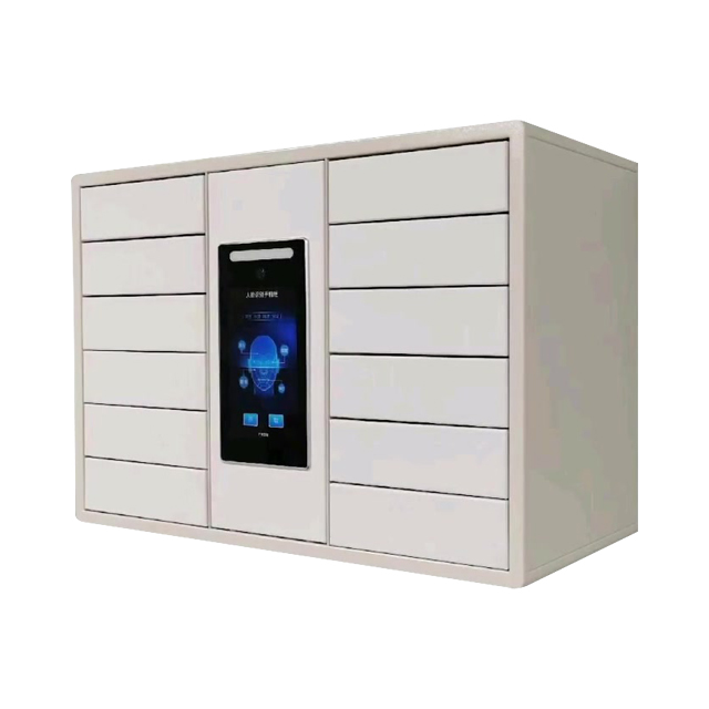 electronic locker