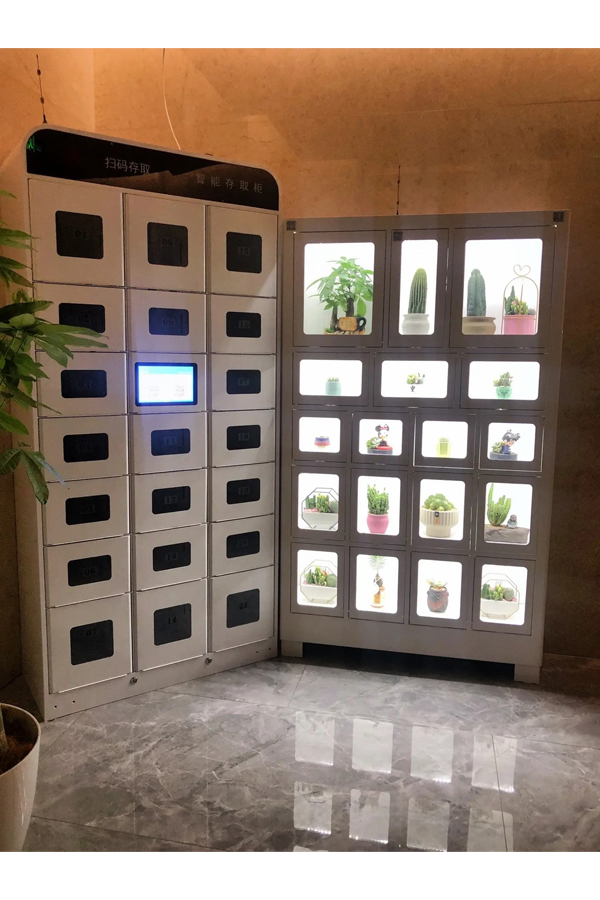 smart parcel locker