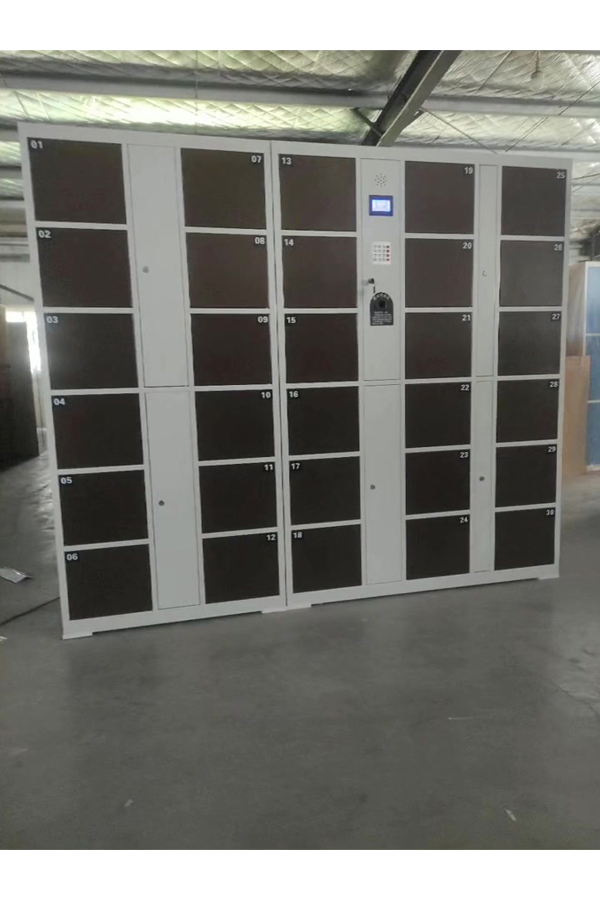 smart parcel locker