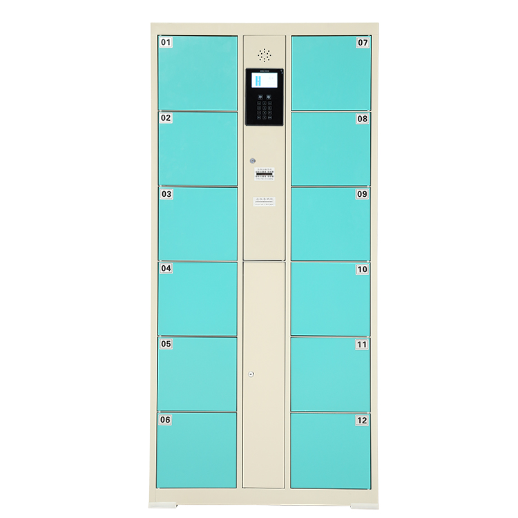 electronic-storage-locker
