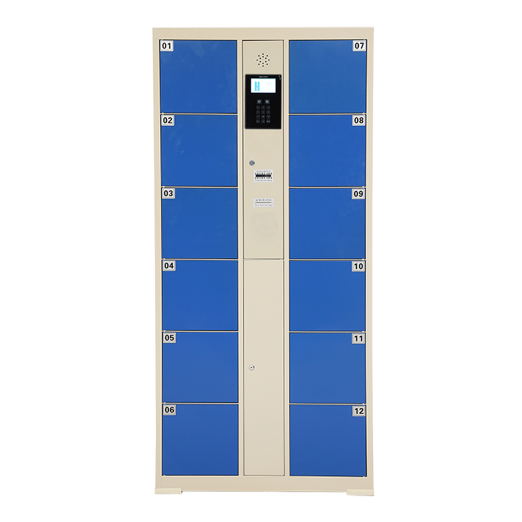 electronic-storage-locker