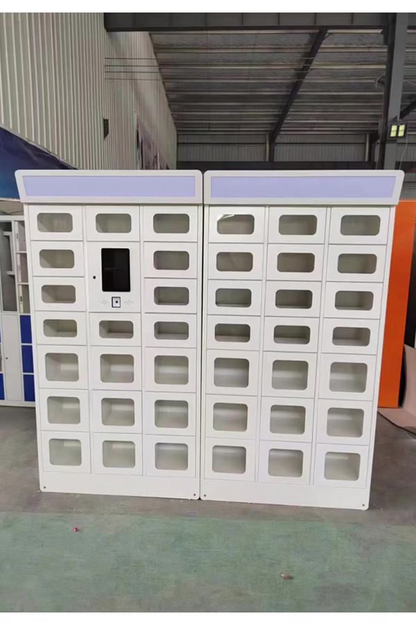 parcel locker system