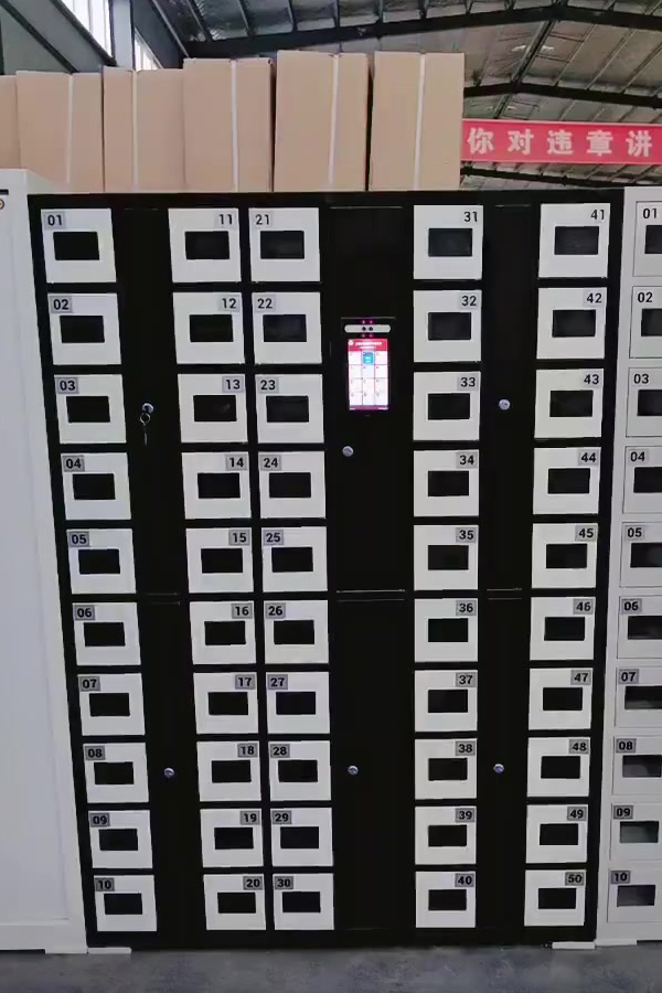 electronic smart locker