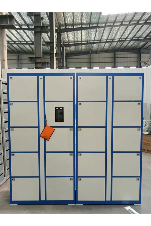 electronic smart locker