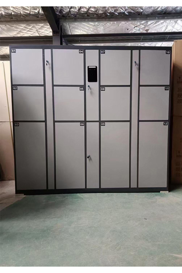 smart parcel locker