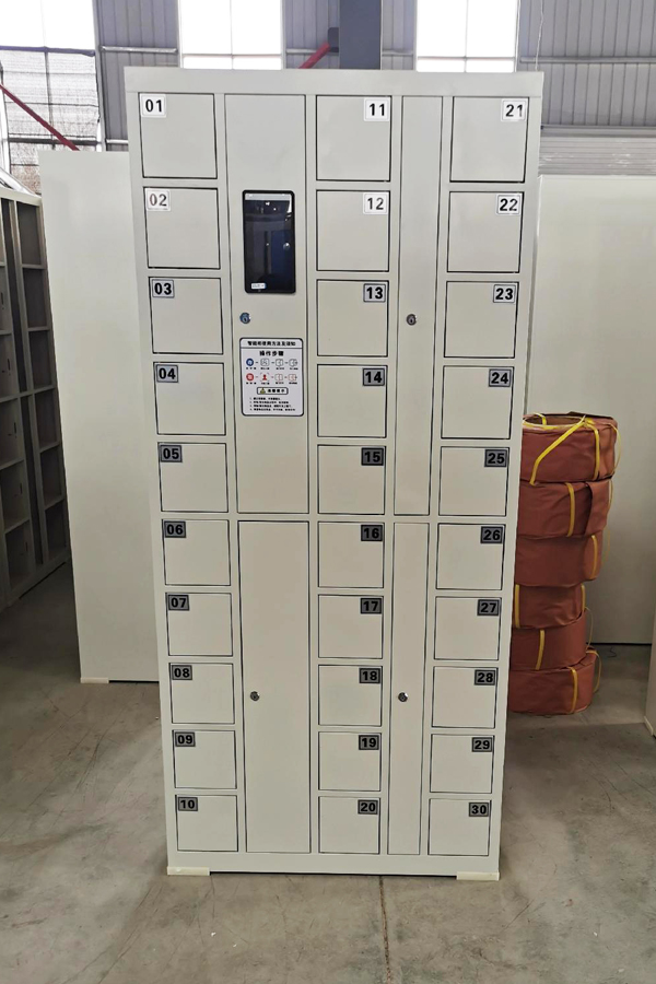 smart parcel locker