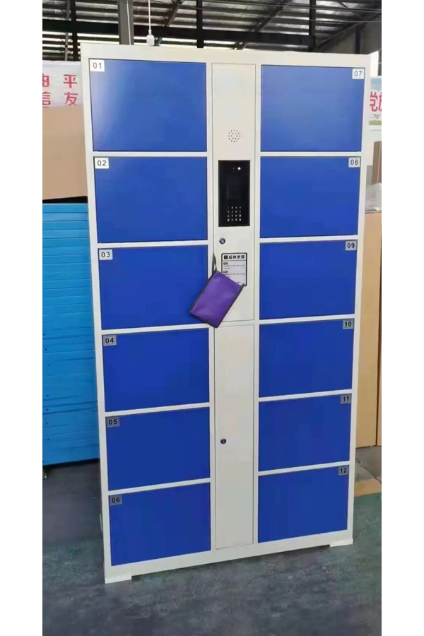 smart parcel locker