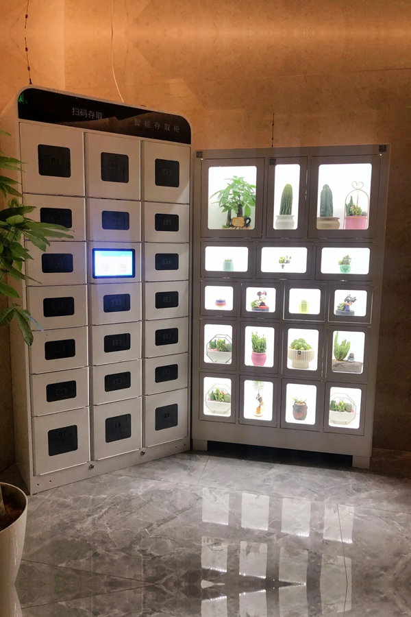 smart parcel locker