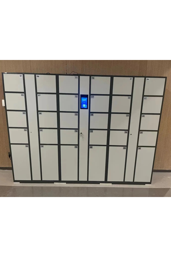 smart locker system