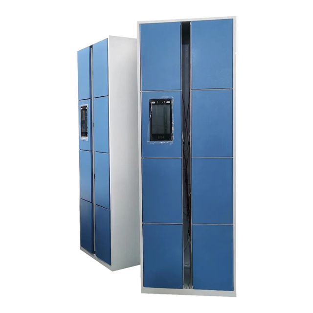 electronic smart locker