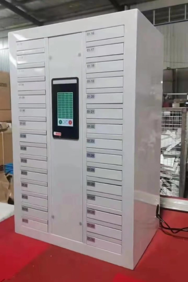 smart locker system